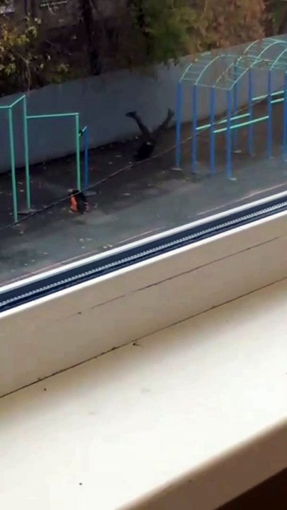 Man Flips Too Hard on Hanging Bar