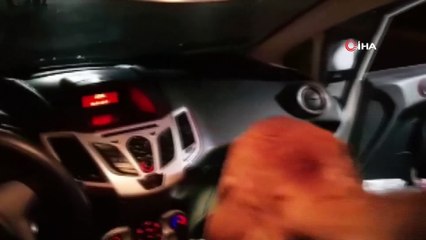 Otomobilin torpidosuna gizlenen eroin 'Poyraz'a takıldı...1 kişi tutuklandı