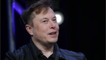 Elon Musk: Connectivity Could Lead To 'Mind Virus'