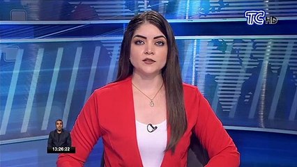 Expertos afirman que avispones asiáticos no son mortales
