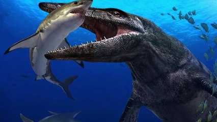 7 BỨC ẢNH CHỨA NHỮNG CÂU CHUYỆN KÌ LẠ NHẤT THẾ GIỚI