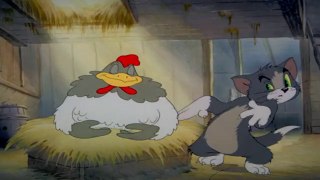 Fine Feathered Friend - Tom & Jerry - Kids Cartoon