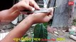 আম গাছে জোড় কলম করার পদ্ধতি - mango grafting techniques - Vumika Agri News