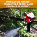 Fumigation Against Dengue Has Begun Amid Covid 19 Pandemic