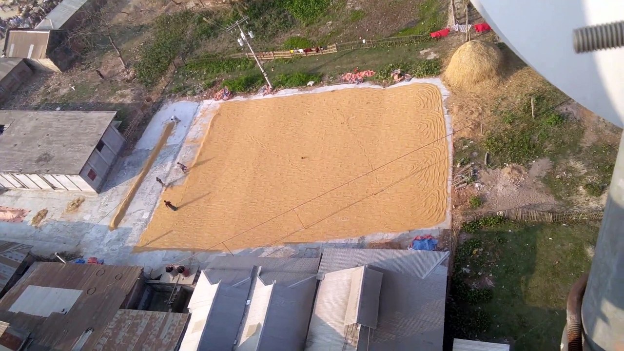 Farmers work