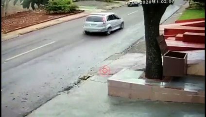 Câmera mostra carro atropelando cachorro no Santa Felicidade; Dono pede ajuda para encontrar motorista