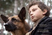 Shepherd The Story of a Jewish Dog movie trailer