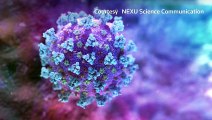 What do studies on new coronavirus mutations tell us