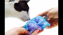 Purple Blue Sparkling Glitter Swirl Putty Slime and Kitty