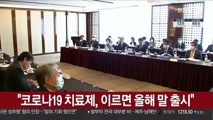 "코로나19 치료제, 이르면 올해 말 출시"