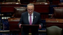 Schumer says reopening states without more tests is 'dangerous'