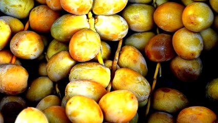 Amazing Palm Dates | Benefits of Dates | दुनिया के सबसे बेहतरीन खजूर और उसके फायदे