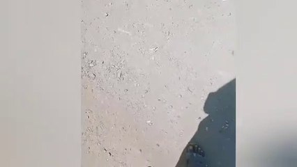 राजस्थान सरकार ने सीमा करवाई सील राजस्थान-गुजरात बॉर्डर पर बसे प्रवासी मजदूर