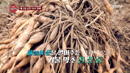 생생 정보마당 545회 - 여유 있는 목요일