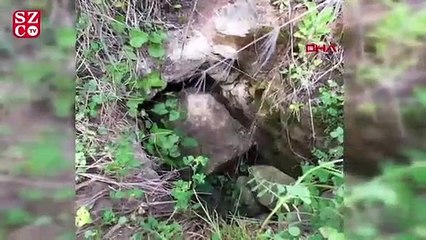 Sinop'ta gizemli bir tünel daha bulundu