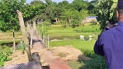 মগের মুল্লুক ।। সাঁকো পারা হতে ১০ টাকা করে চাঁদা বন্ধ করে দিলেন চৌগাছা থানার ওসি ।। BD Police News