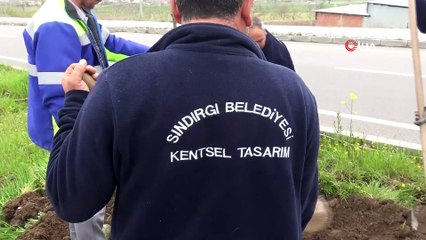 Sındırgı'da 3 bin ağaç toprakla buluştu