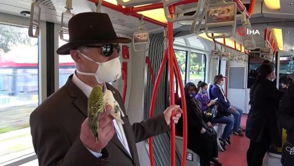 Her yere muhabbet kuşları 'Süslü' ve 'Beyaz' ile gidiyor