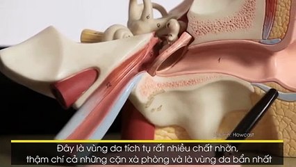 4 VÙNG TRÊN CƠ THỂ ĐƯỢC TẮM CÀNG KĨ CHÚNG TA CÀNG SỐNG THỌ