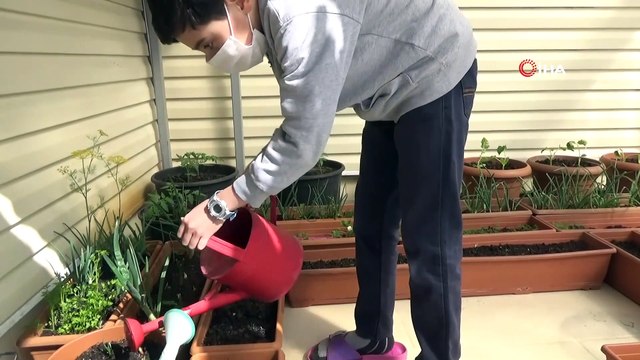 Cumhurbaşkanının talimatını dinledi, sebzelerini terasta yetiştirmeye başladı