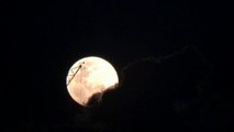 La 'luna llena de las flores' ilumina el cielo dejando espectaculares imágenes