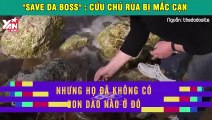 Save da boss: Chứng kiến chú rùa biển đáng thương bị mắc cạn được cứu giúp bằng cách không thể ngờ tới