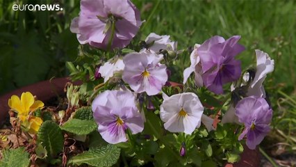 75 éve ért véget a 2. világháború Európában