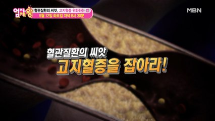 엄지의 제왕 382회 [혈관질환의 씨앗, 고지혈증 완화하는 법]