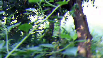 Real Gost Bangla Short flim
