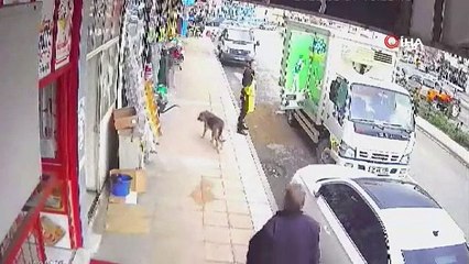 Kaldırımda duran köpeğe tekme attı