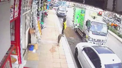 Kaldırımda duran hamile köpeğe böyle tekme attı