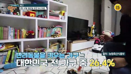 행복한 공생을 위한 올바른 반려동물 양육법 대공개_알맹이 72회 예고