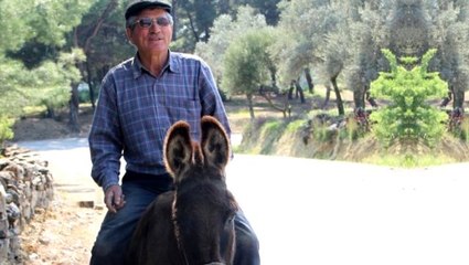 Raşit amca, yaş yasağına takılmadan emektar eşeğinin sırtında dolaşıyor