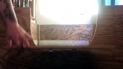 Dalmatian Puppy Decides to Stay Behind