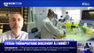 Le chef du service des maladies infectieuses à l'hôpital Avicenne Olivier Bouchaud juge que l'essai thérapeutique Discovery est "un fiasco" au vu des ambitions européennes