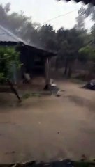 আবু বকর সিদ্দিক - বগুড়া শেরপুর বৃষ্টি আর ঝর।