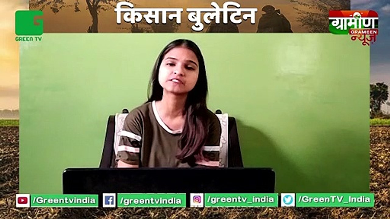Paddy Farming छोड़ने पर मिलेंगे प्रति एकड़ 7,000 रूपये | Haryana Government Mera Pani Meri Virasat : Kisan Bulletin | Grameen News