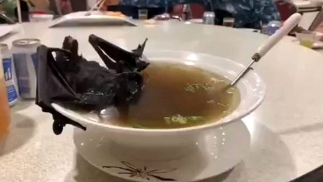 Dünya Sağlık Örgütü, Koronavirüsün kaynağı ne? tartışmasına noktayı koydu