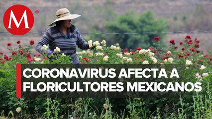 Venta de flores para el 10 de mayo cae 80%; en Edomex van a la basura