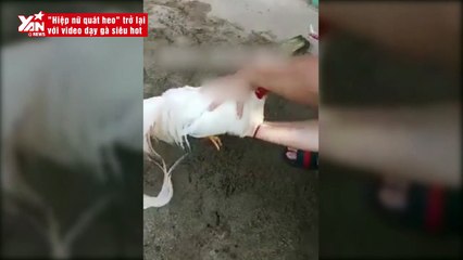 trở lại với video dạy gà siêu hot