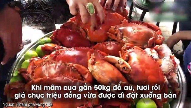 Cận cảnh mâm cua dì ba đỏ au, tươi rói trị giá hàng chục triệu bán vèo trong 10 phút