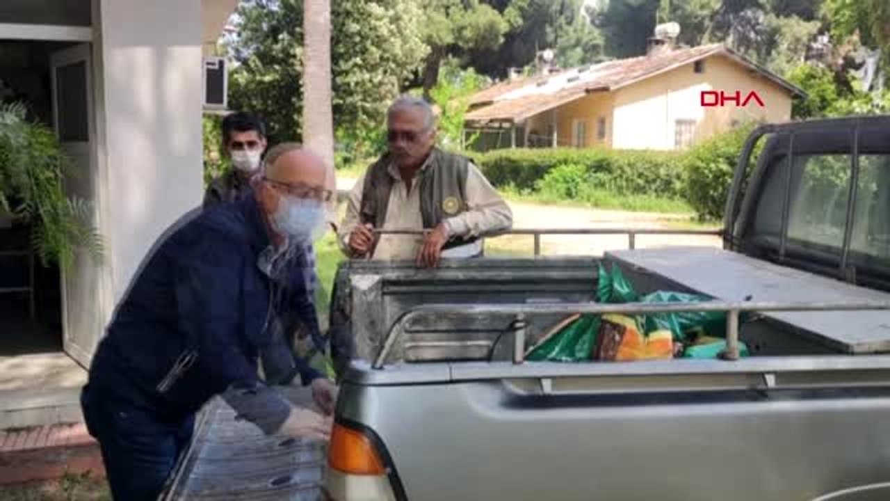 OSMANİYE Sahipsiz sokak hayvanları aç kalmasın diye seferber olundu