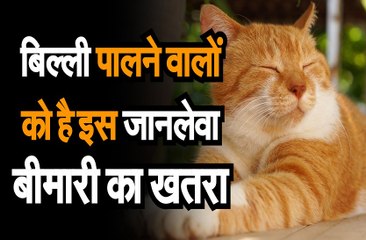 Research || बिल्ली पालने वालों को है इस जानलेवा बीमारी का खतरा, शोध में हुआ खुलासा