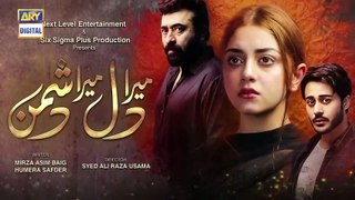 Mera Dil Mera Dushman Episode 33 - Teaser - ARY Digital Drama