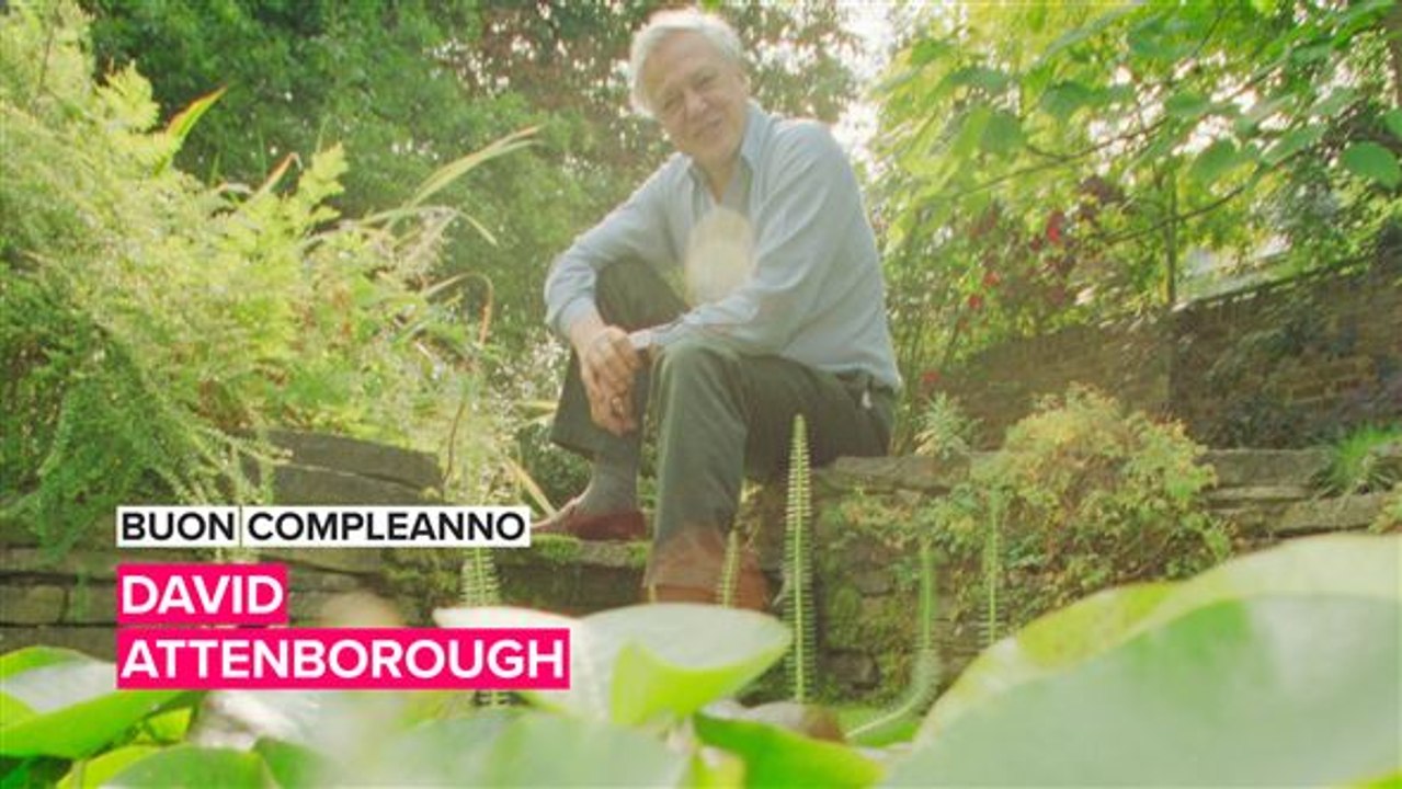 Buon compleanno David Attenborough