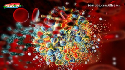 VISUS kiểm soát hành tinh, thay đổi số phận con người thế nào (Phần 2)?