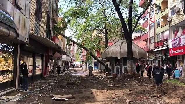 Çınar ağacı binanın üzerine yıkıldı