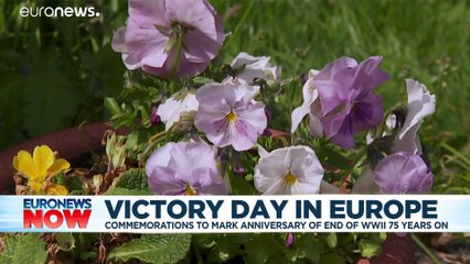 VE Day: A locked down Europe commemorates as best it can