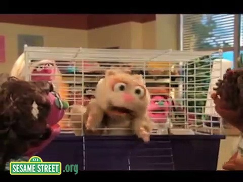 Sesame Street - Preschool Musical