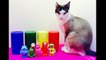 YO GABBA GABBA Toys Hiding Game Learning Numbers with Kitty-
